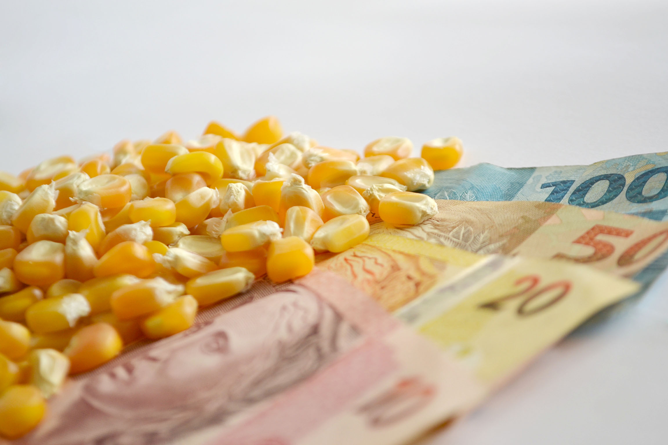 preço do milho, incentivos fiscais, seguro rural, funrural, MP